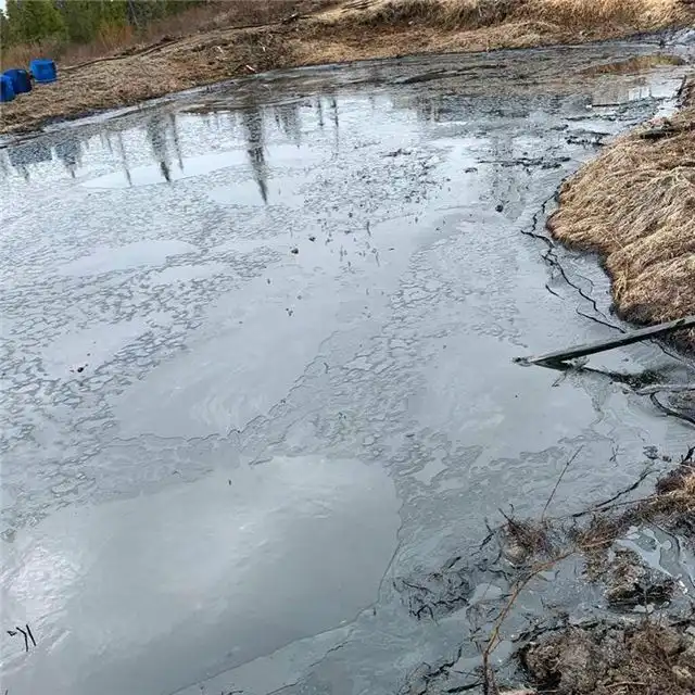 Ученые СурГУ нашли способ очищать северные почвы от нефти с помощью бактерий