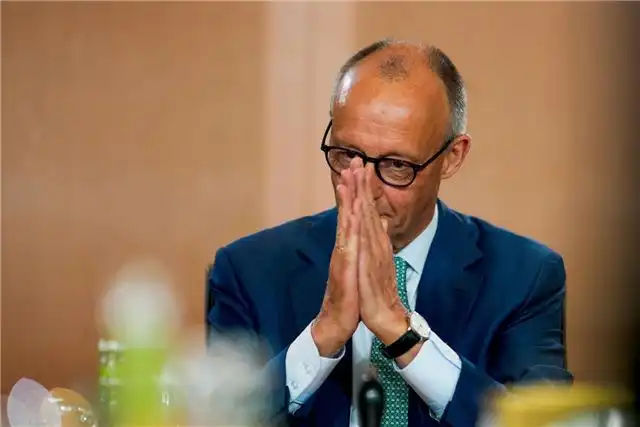 Сенатор Шендерюк-Жидков заявил о разочаровании немцев политикой Мерца