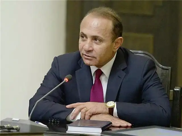 Манасян раскритиковала публикацию личных данных после задержания сына Абрамяна