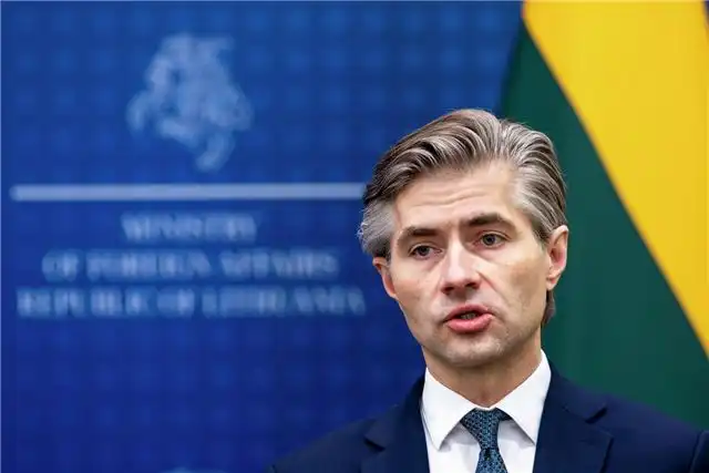 Глава литовского МИД предложил ужесточить условия пребывания россиян в Европе