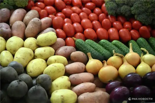 Самолёты доставят продукты жителям отдалённых сёл Нелькан и Аян в Хабаровском крае