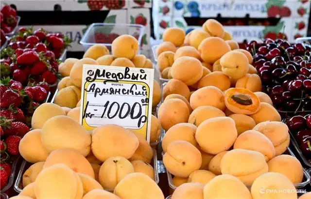 Айсен Николаев оценил темпы возведения Ленского моста